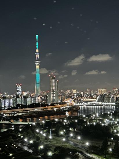 イニシア千住曙町-36-眺望