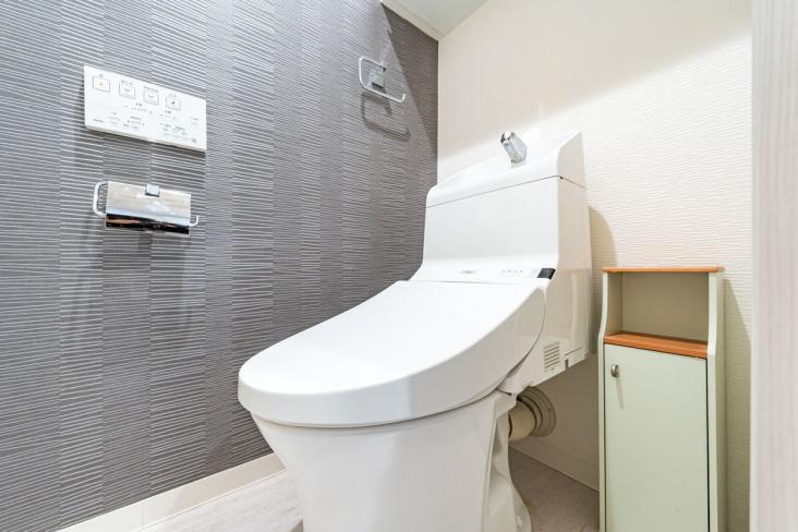お花茶屋スカイマンション-8-トイレ