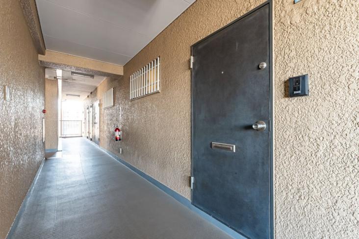 お花茶屋スカイマンション-17-玄関