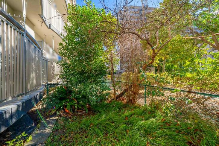 グリーンコーポ千寿１号棟-19-庭