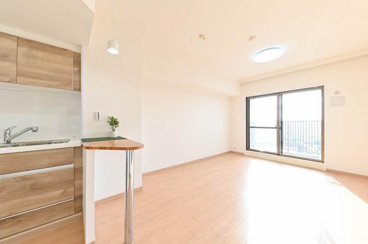 四つ木パーク・ホームズ-3-リビング