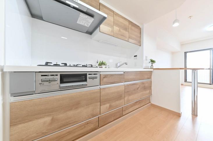 四つ木パーク・ホームズ-14-キッチン