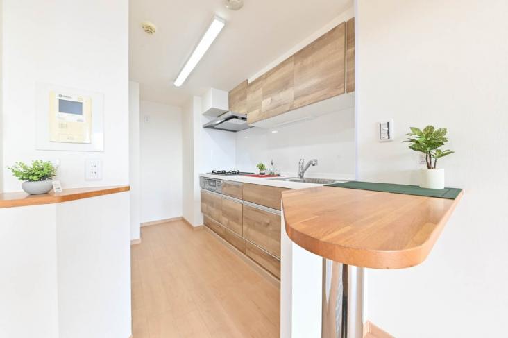 四つ木パーク・ホームズ-16-キッチン