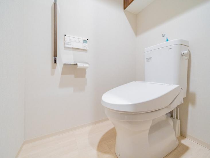 ザ・グランアルト綾瀬-3-トイレ