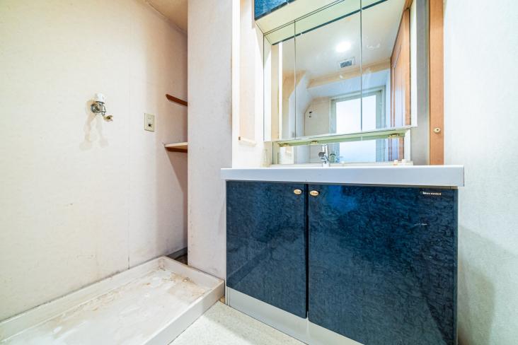 デュオコート竹ノ塚-11-洗面