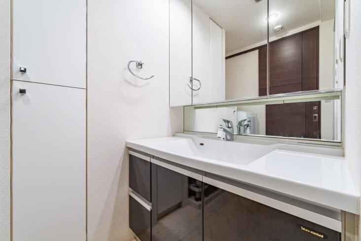 ローヤルシティ金町-5-洗面