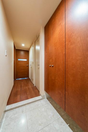 ザ・レジデンス東京イースト　レジデンスⅠ-16-玄関