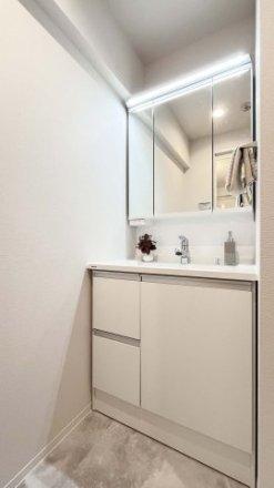 ライオンズマンションお花茶屋-6-洗面