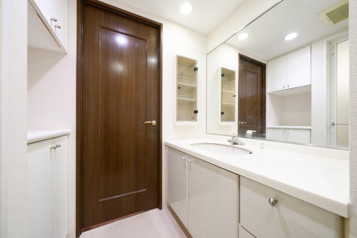 ライオンズガーデン金町-5-洗面