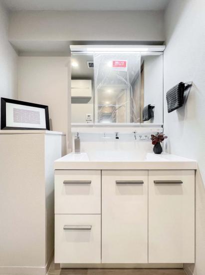 ロイヤルステージ王子神谷-12-洗面