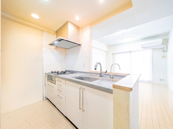 コスモ立石リバーステージ-8-その他