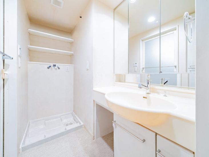 コスモ立石リバーステージ-10-その他