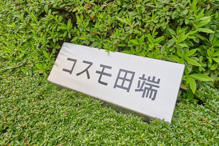 コスモ田端-3-その他現地