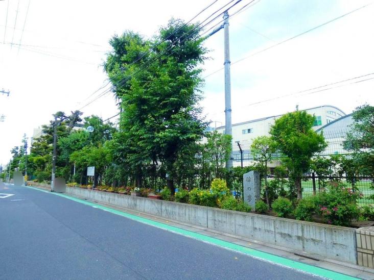 シーアイマンション碑文谷-9-小学校