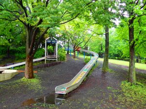 横浜駅から３駅＊季節のうつろいを感じる岸根公園の近くに住む～片倉町のマンション～