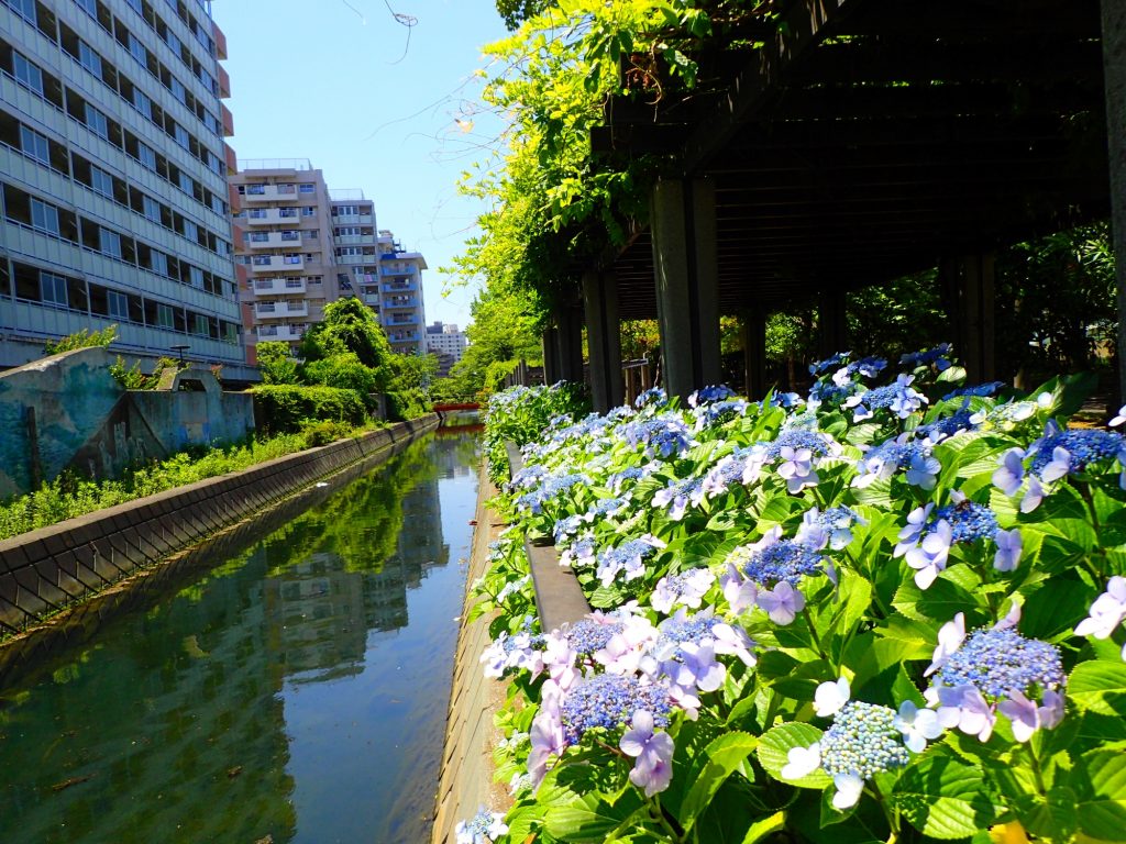 ＜江東区＞新砂地区の再開発工事の状況は？～南砂町のマンション～