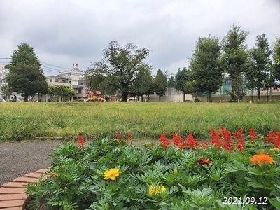 北区立南谷端公園の様子