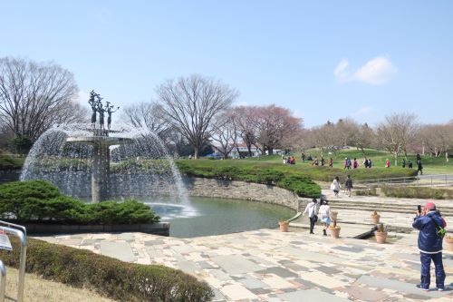 国営昭和記念公園～２０２０年はおあずけになってしまった春の景色をご紹介～