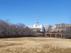 住吉駅周辺の街並みを現地調査！治安と便利な暮らしのスポットを紹介