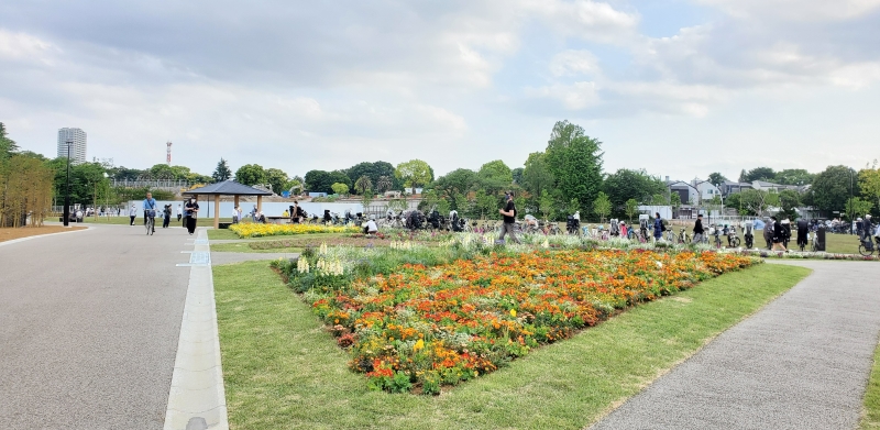 練馬城址公園花のふれあいエリア