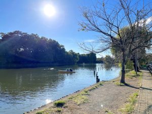 石神井公園駅周辺の街並みを現地調査！再開発情報とおすすめのスポットを紹介