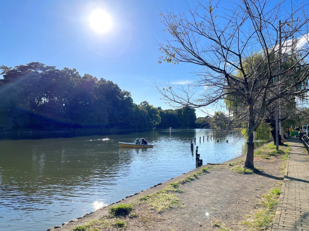 石神井公園駅周辺の街並みを現地調査！再開発情報とおすすめのスポットを紹介