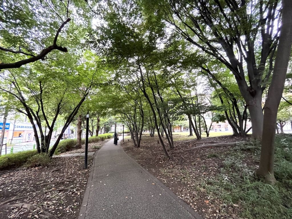 聖路加国際大学の小道