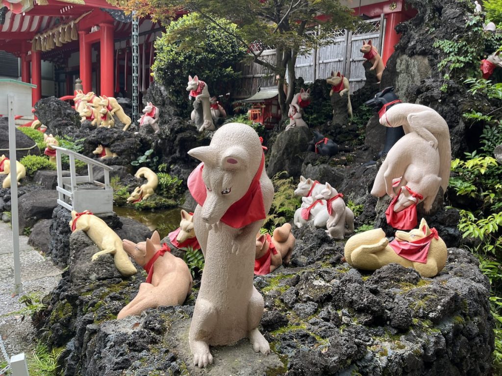 神狐