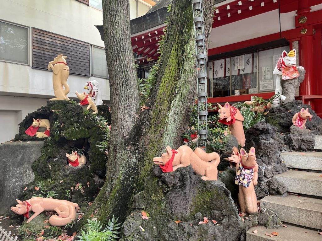 神狐