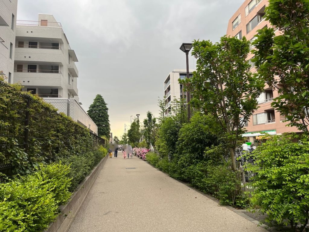 水木ゾーン