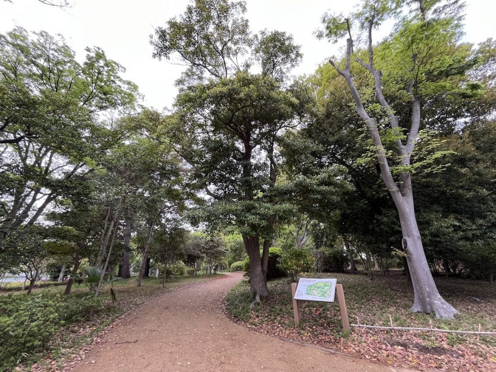等々力緑地