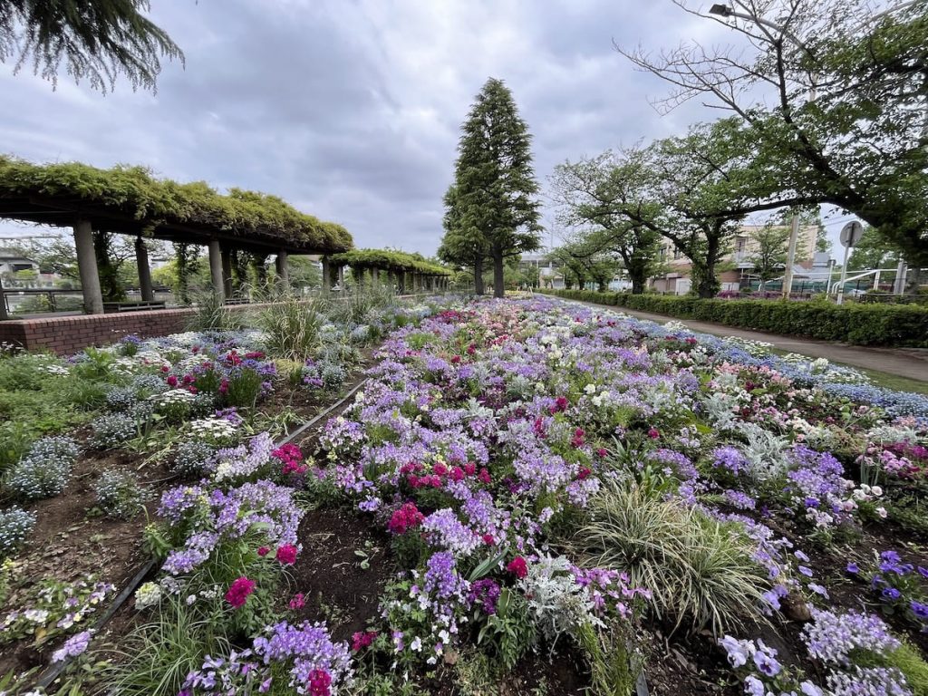 花壇