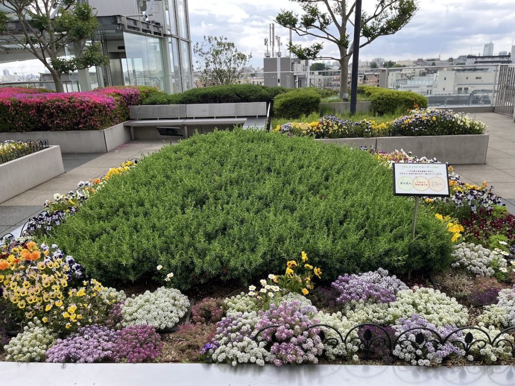 屋上庭園