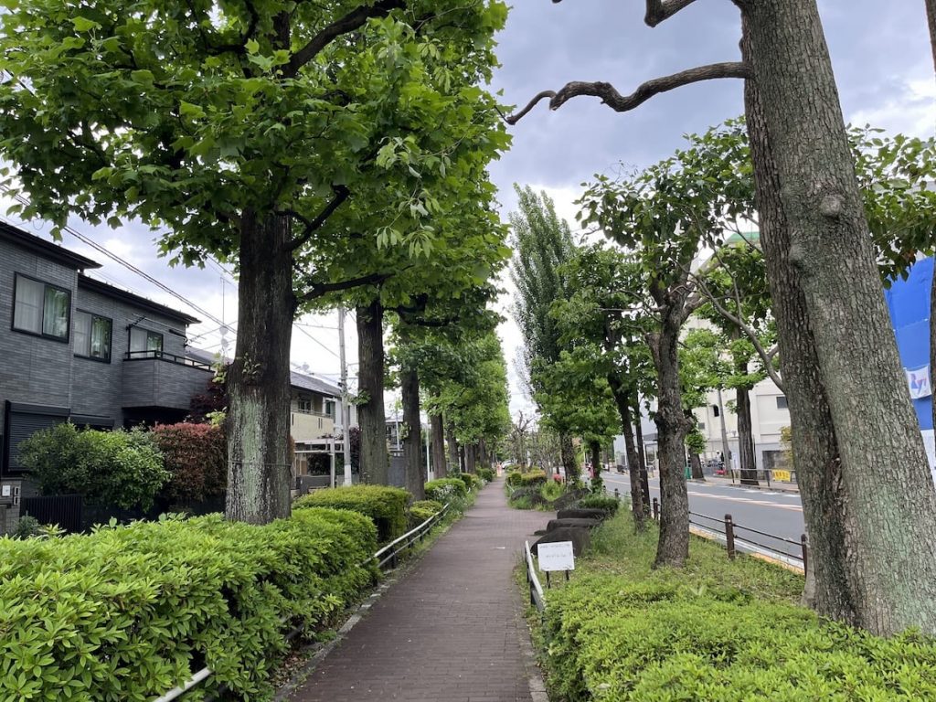 北沢川緑道