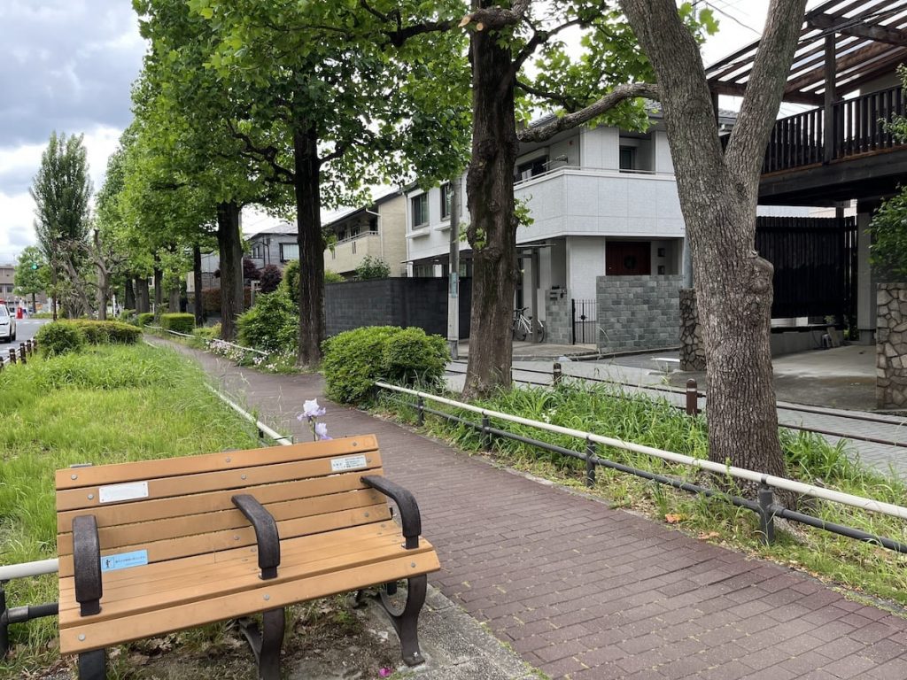 北沢川緑道ユリの木公園
