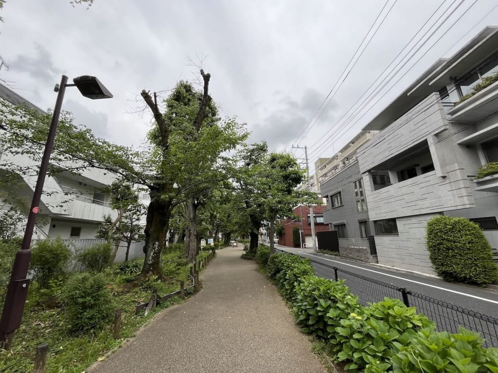 烏山(からすやま)川緑道