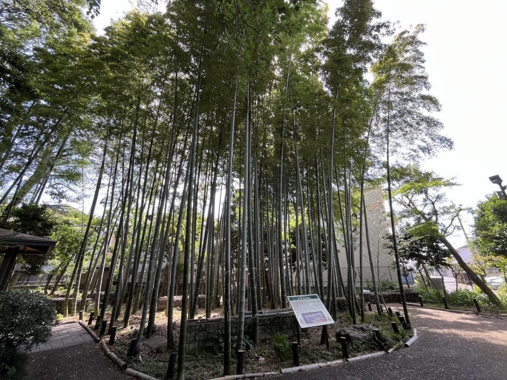 竹林
