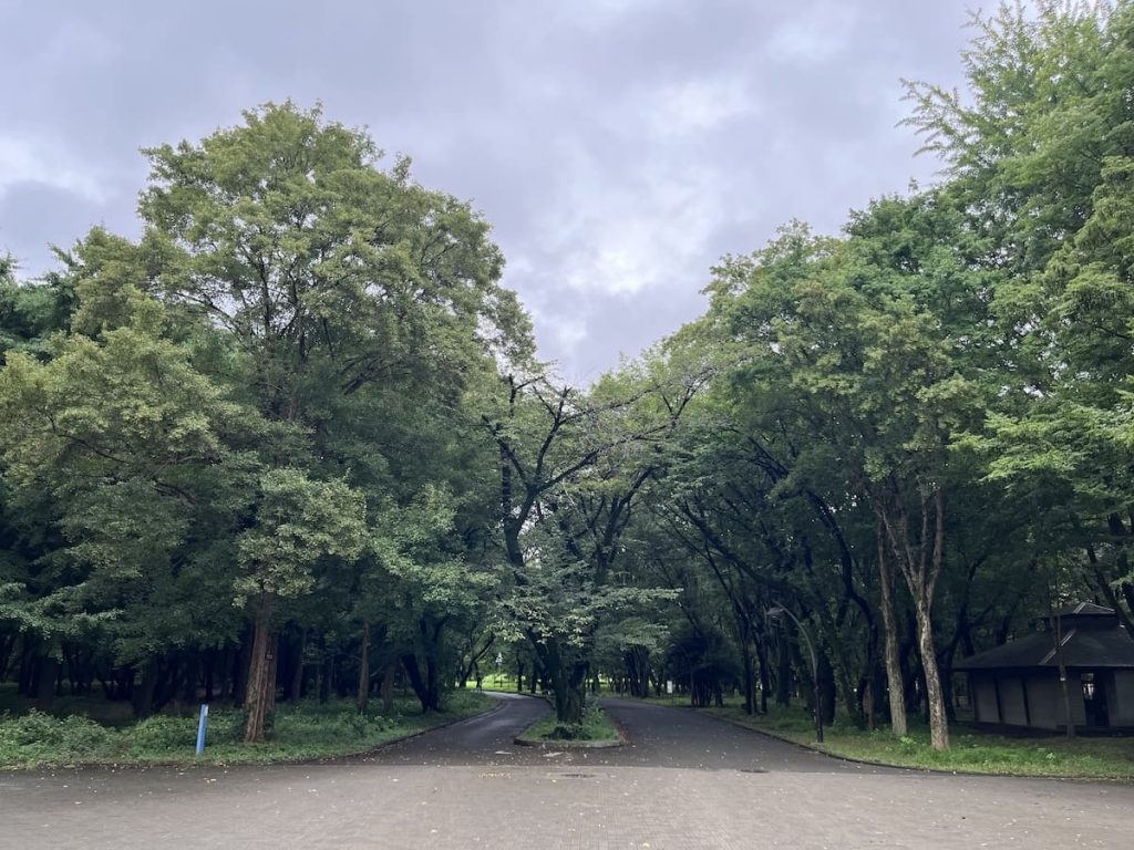 緑が生い茂る園内のようす