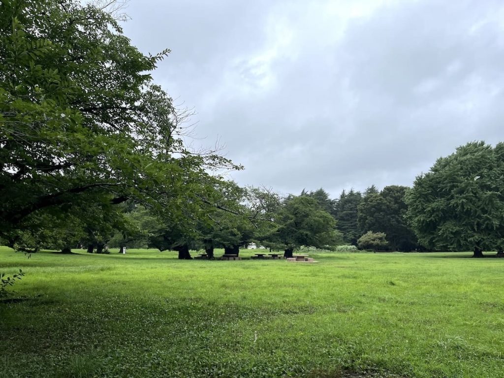 芝生広場