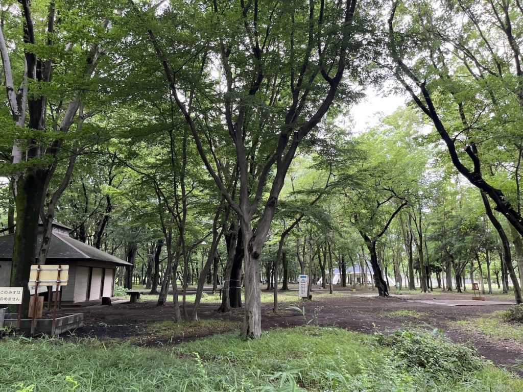 デイキャンプ・バーベキュー広場