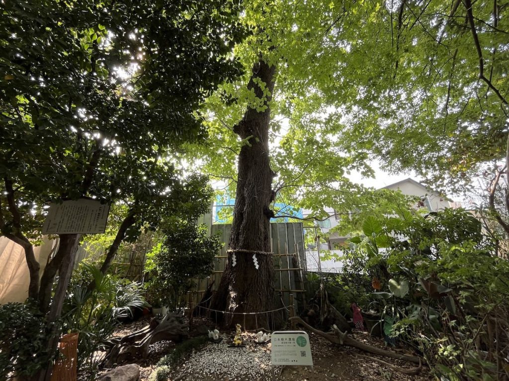 戸越八幡神社