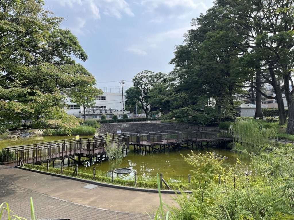 文庫の森(水辺の広場)
