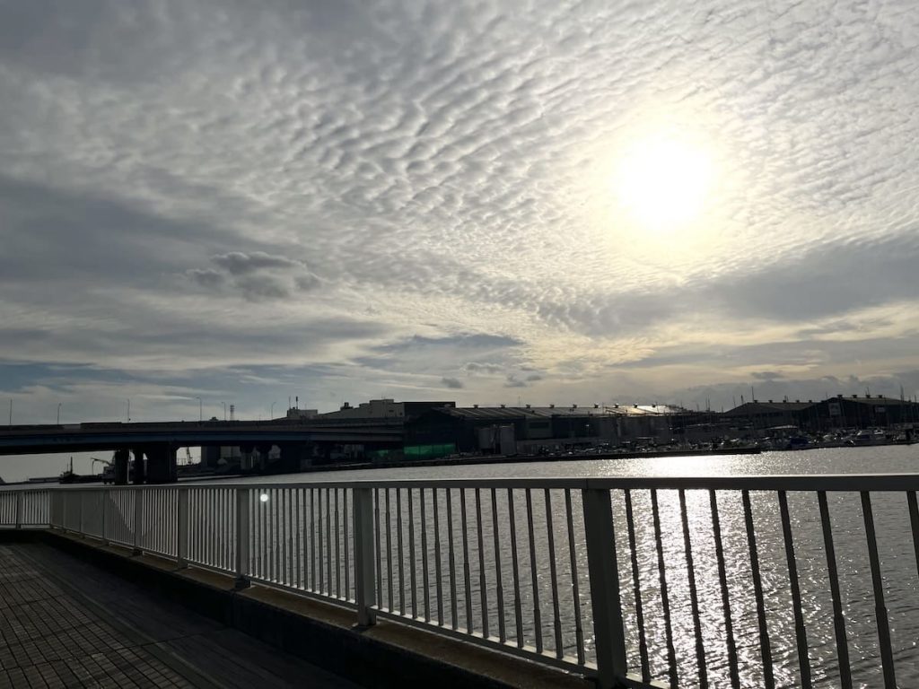 船橋港親水公園 夕日