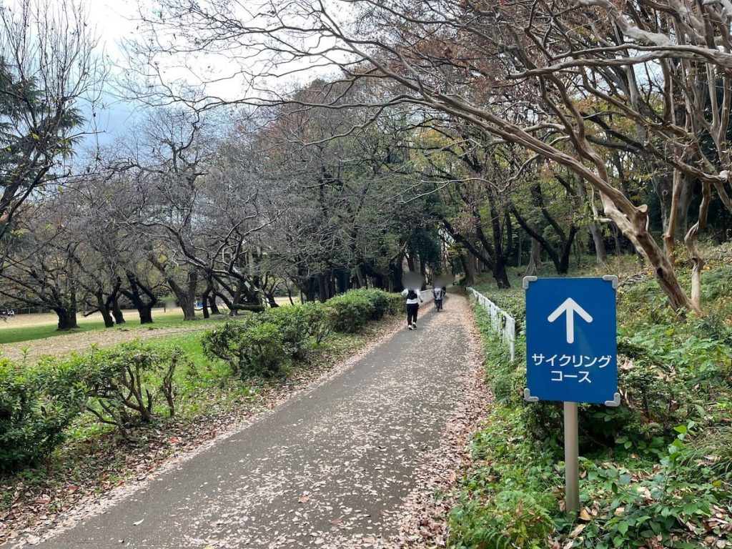 サイクリングコース