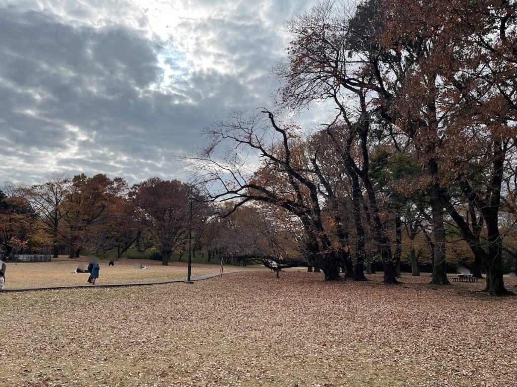 砧公園