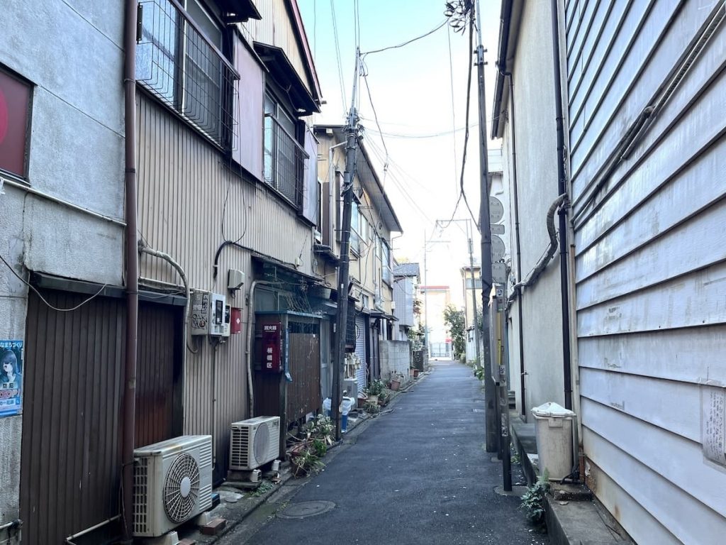 開発対象地のようす