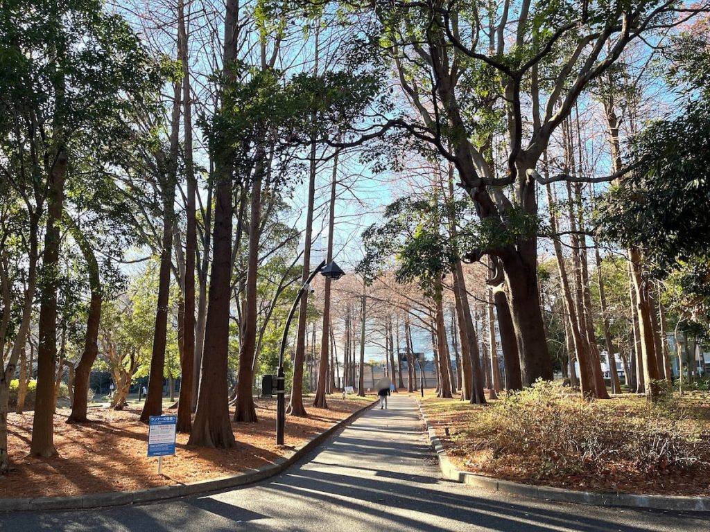 ジョギングコース