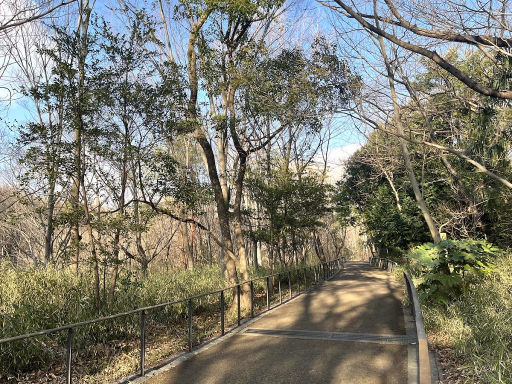 赤羽自然観察公園 緑豊かな園内のようす①