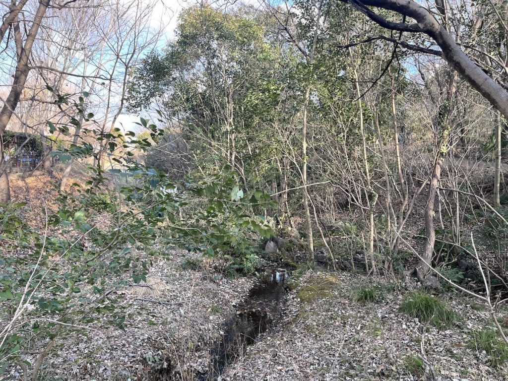 赤羽自然観察公園 緑豊かな園内のようす②