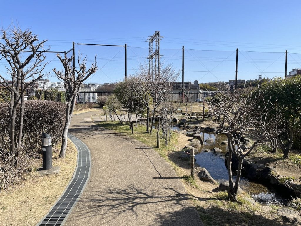 草っぱらゾーン